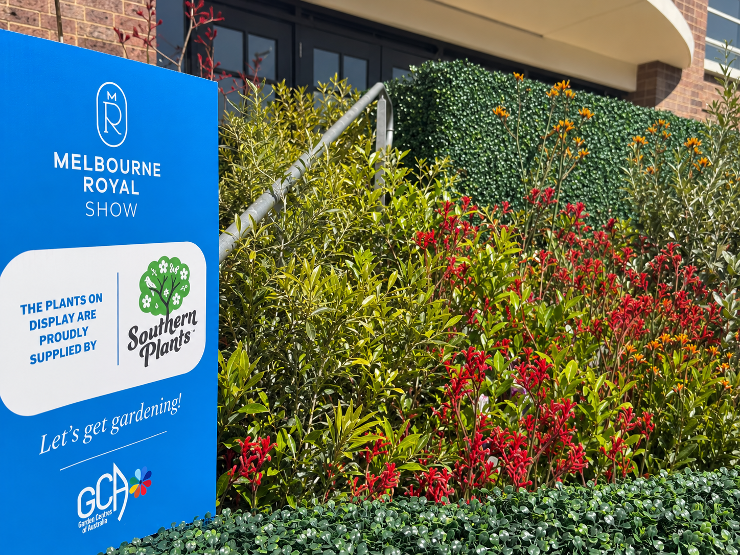Garden display at the Melbourne Royal Show with kangaroo paws, Lomandra and fountain grass supplied by Southern Plants